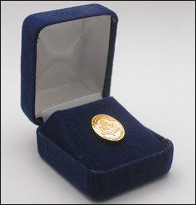- Blue Presentation box -